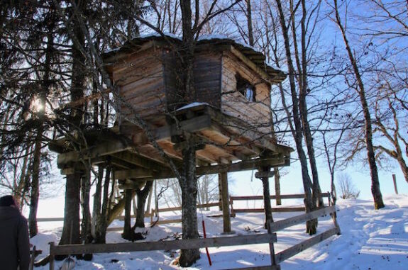 Glamping Baumhaus Jura
