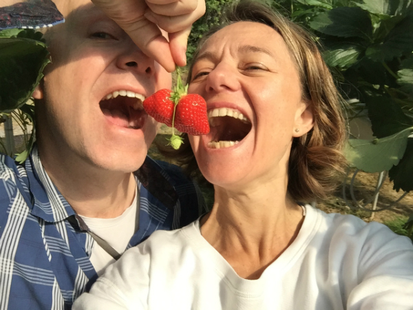 Erdbeeren pflücken in La Fraiseraie in Pornic