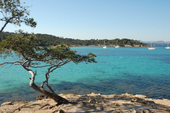 Porquerolles, Eiland vor Hyères