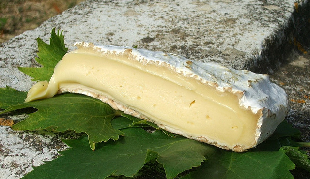 Brie de Melun tour de fromage