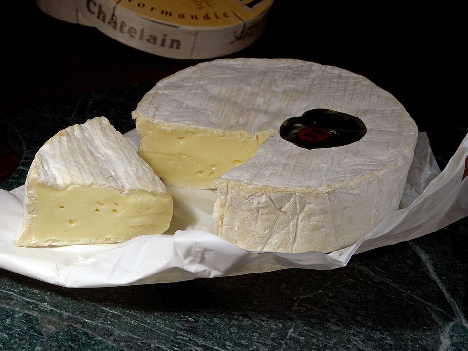 Camembert Käse-Stinker