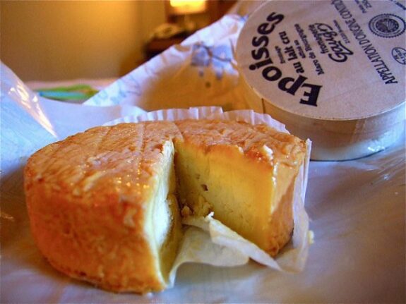 Epoisses Käse-Stinker