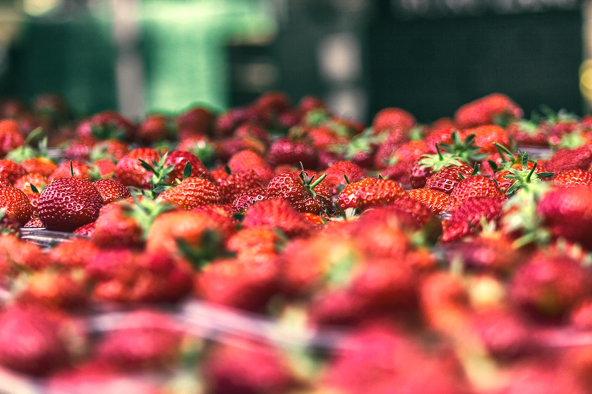 recept tarte aux fraises- erdbeeren 