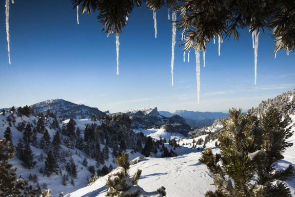 Der Vercors: ein Traum im Winter