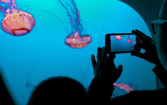 La Rochelle Aquarium
