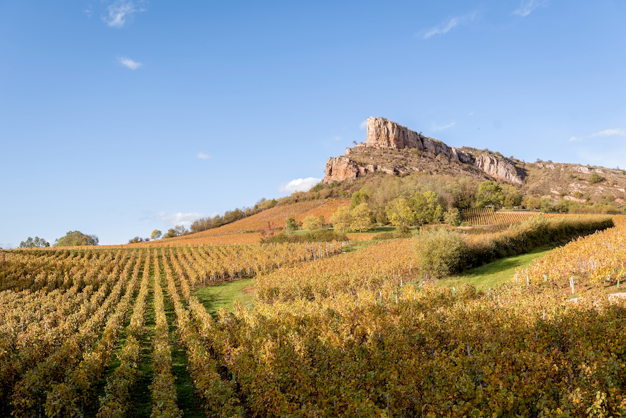 Roche de Soloutré Bourgogne Herbst