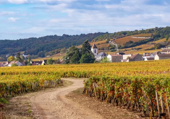 Weindorf Morey Saint Denis Bourgogne