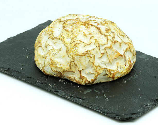 Cremet du Cap Blanc Nez Käse aus Nordfrankreich