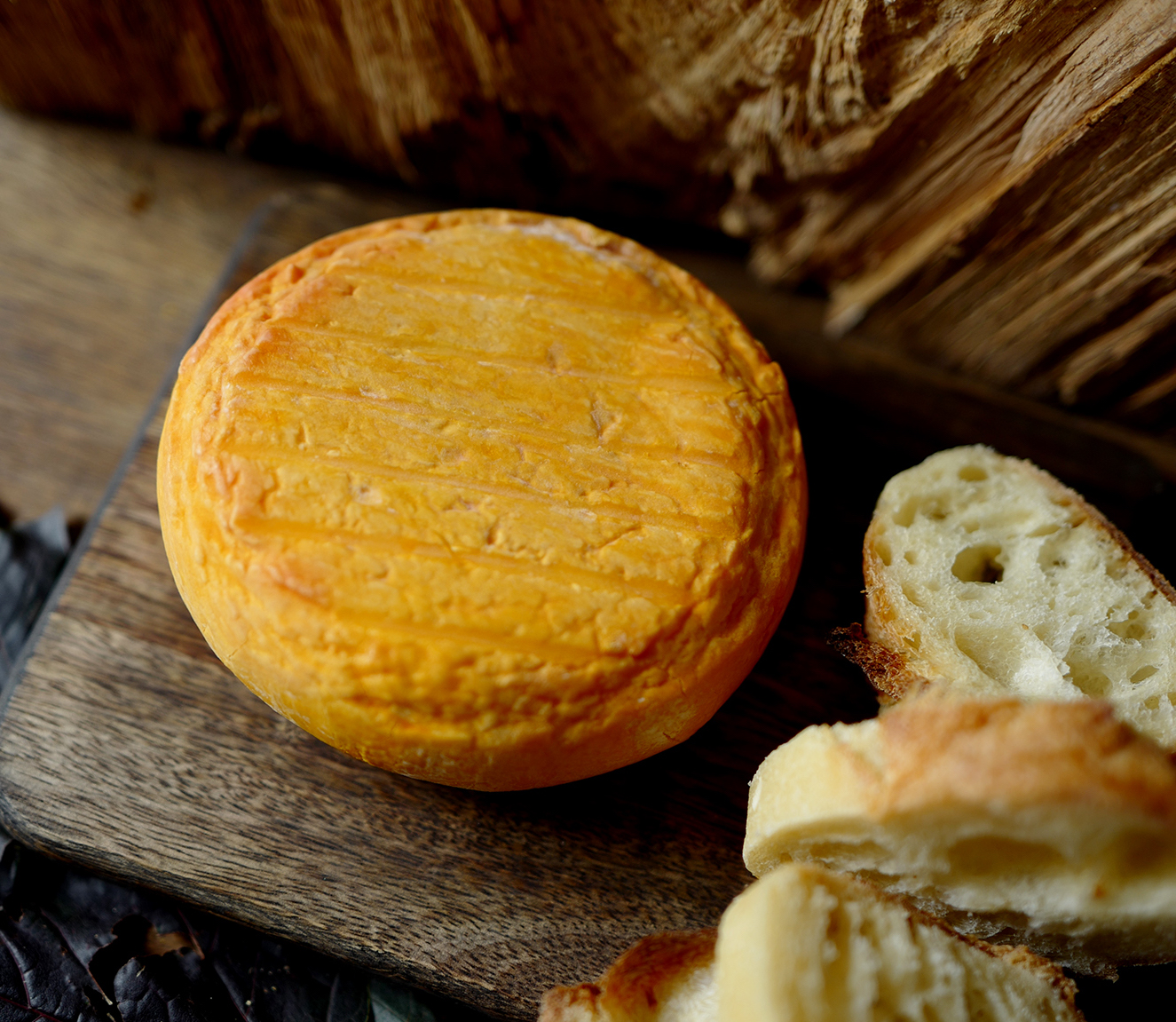 Käse aus Nordfrankreich Fleurs d'Audresselles