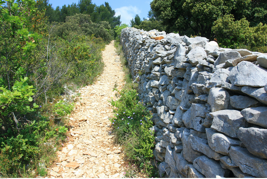 Pestmauer Vaucluse