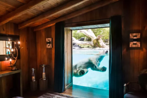 safarilodge-dierentuin-la-fleche