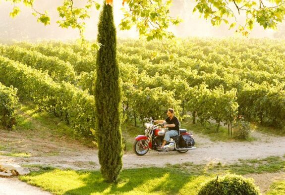 good ear film provence