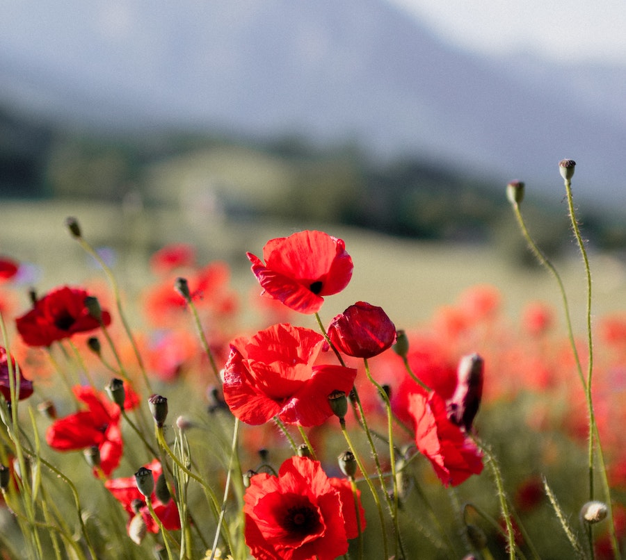 Leben In Frankreich Vor- Und Nachteile In der Vorsaison nach Frankreich: Vor- und Nachteile