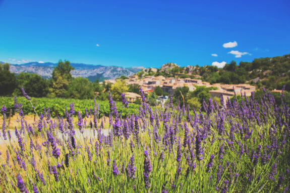 Provence