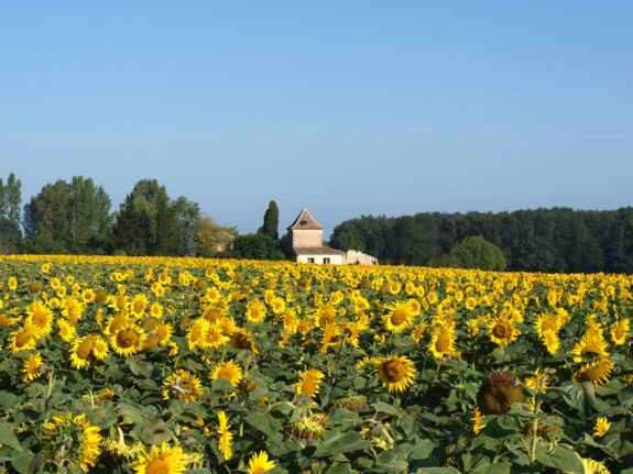 Villa Lafage
