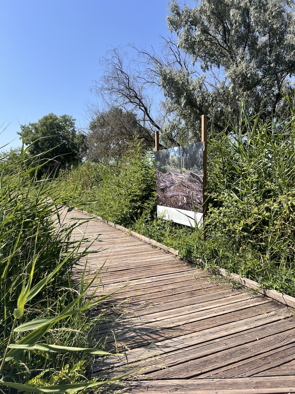 Maison de la nature Lattes