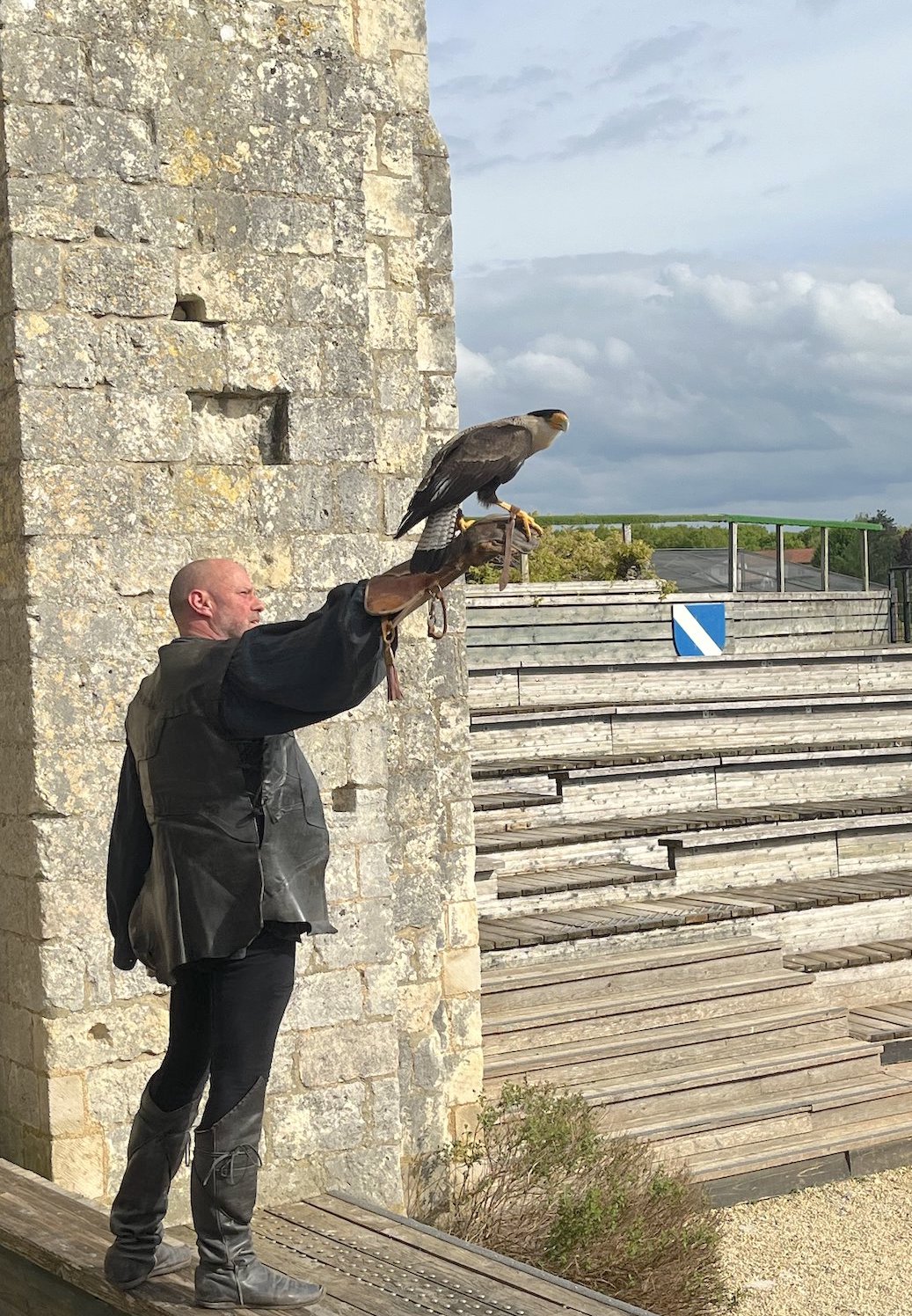 Chauvigny bij Poitiers roofvogelshow 