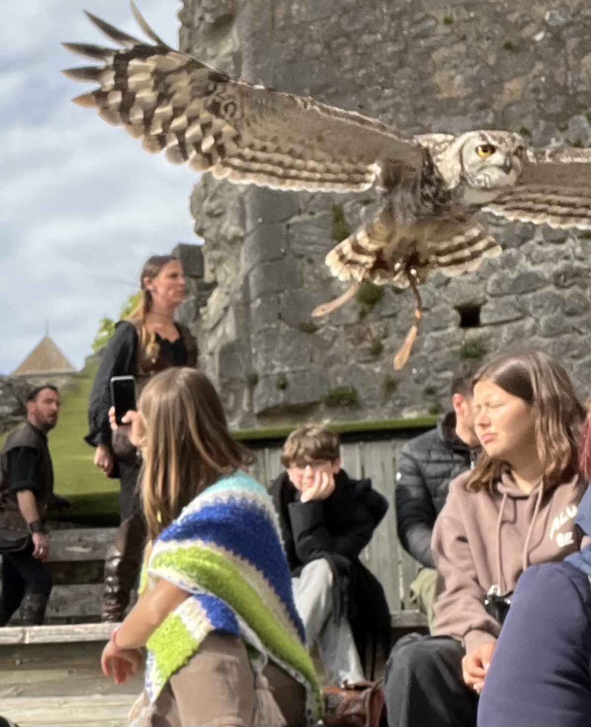 Chauvigny bij Poitiers roofvogelshow