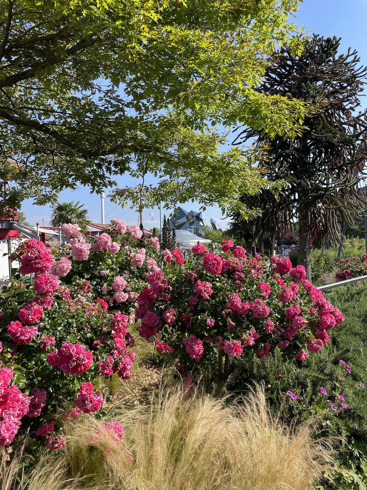 Futuroscope park