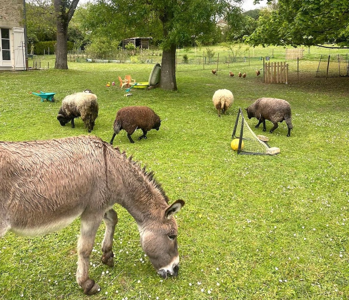 eco-gites bij Poitiers Puy le Comte