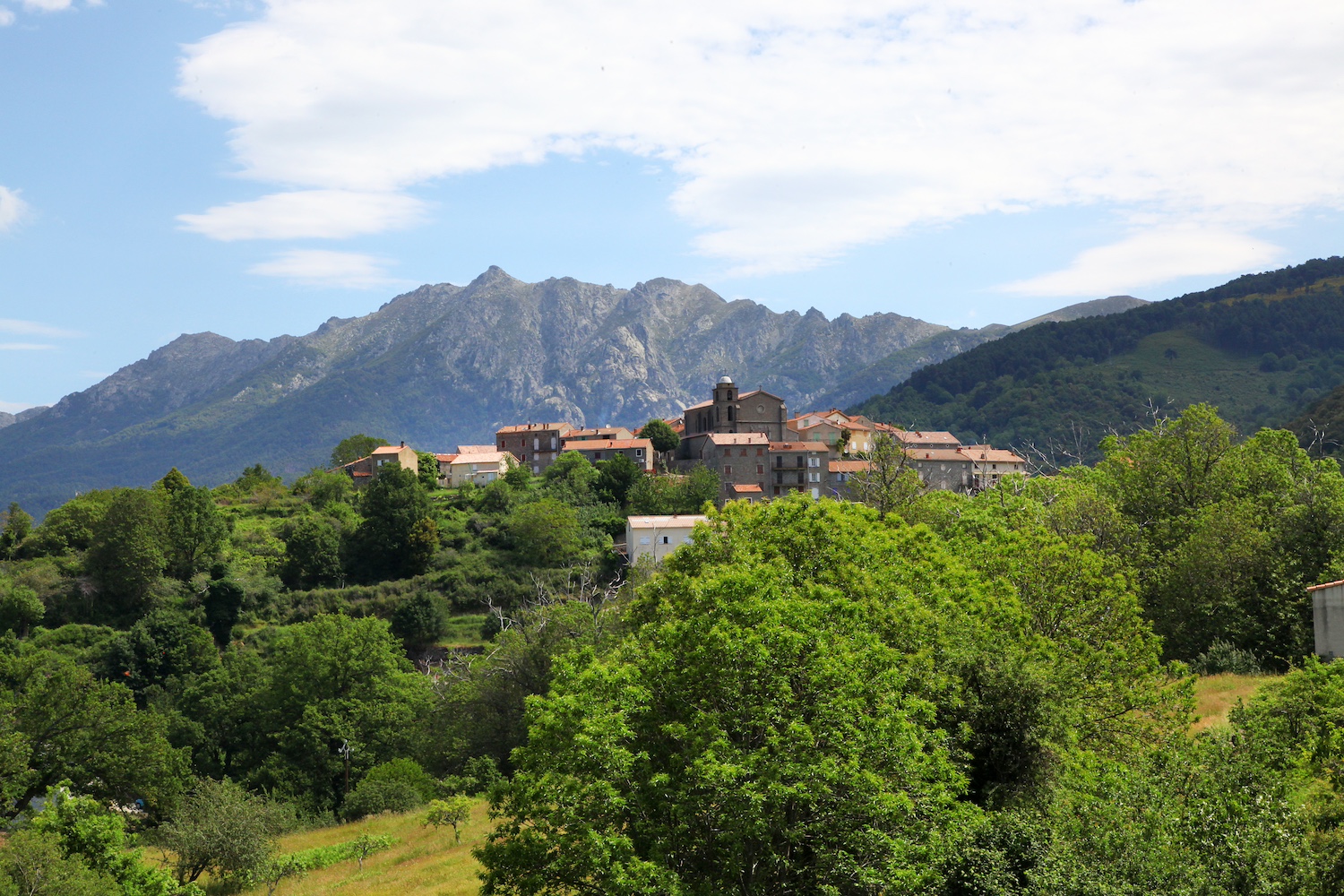 Cozzano - Corsica - Korsika