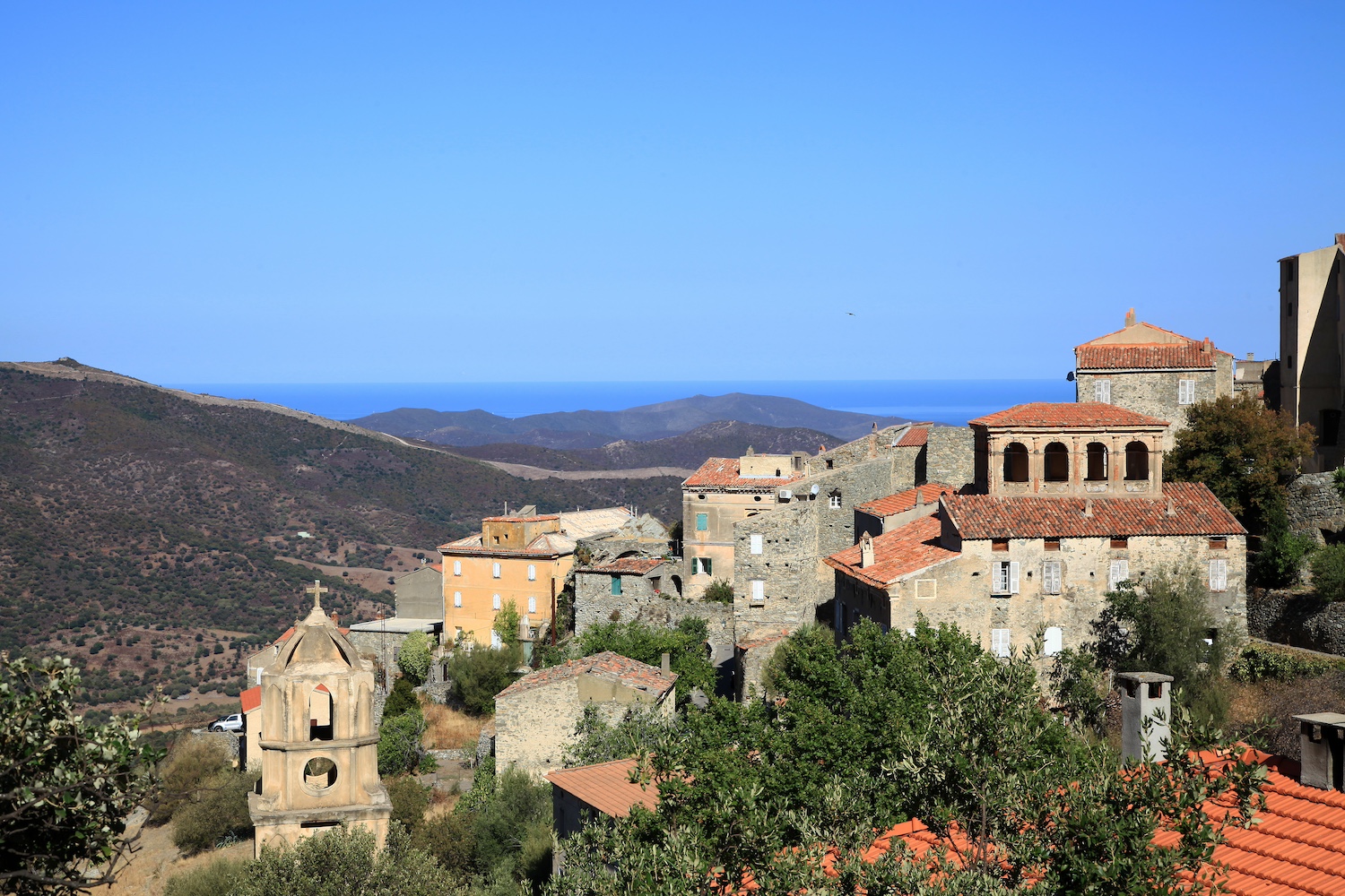 Lama Corsica - Korsika