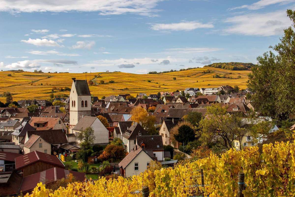 Elzas wijnroute herfst- Elsässer Weinstraße