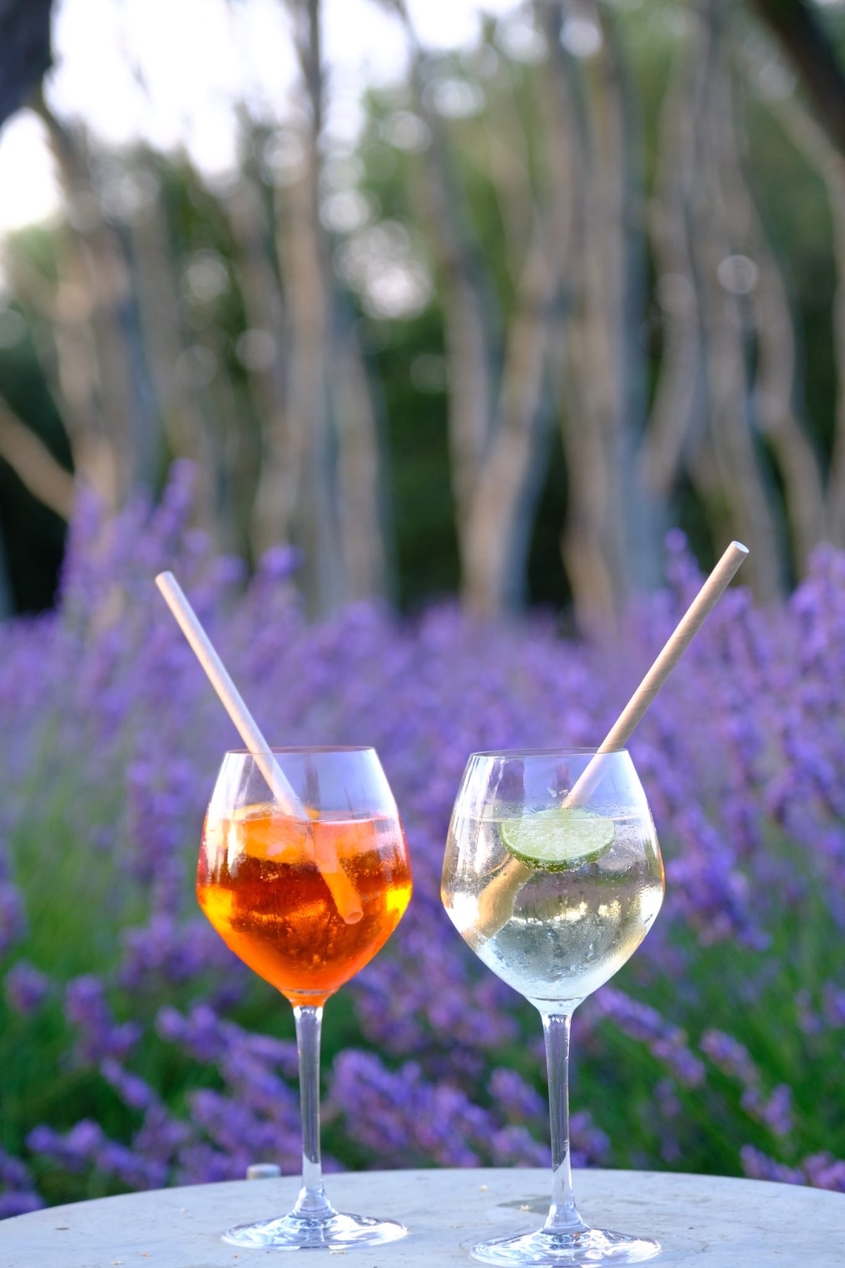 Hotel Bois des Dames in de Dome: apero met spritz of gin tonic