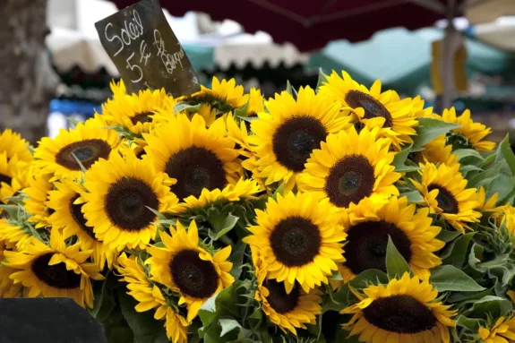 zonnebloemen Provençaalse markt