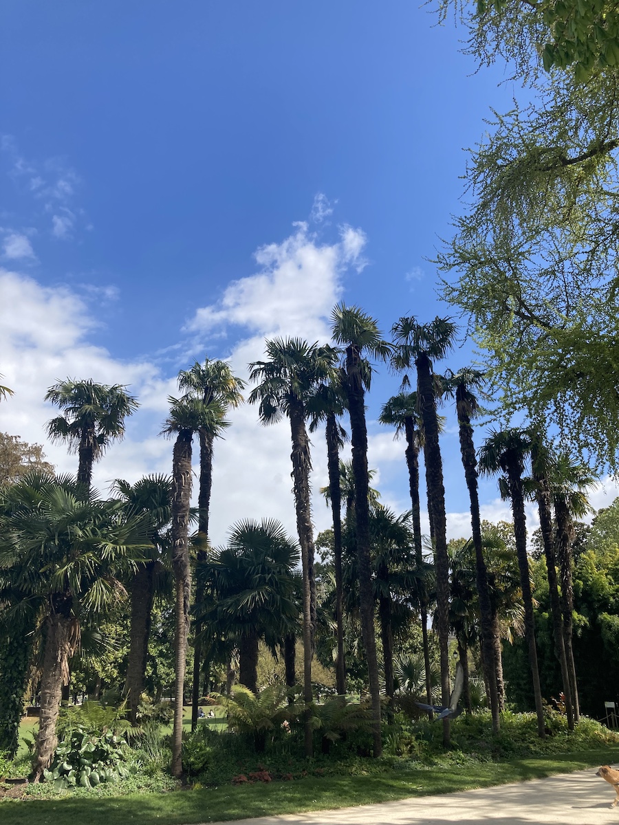 Bordeaux Jardin des Plantes het park